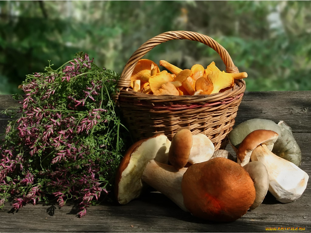 Лето грибами осень плодами. Лукошко с грибами. Осенние грибы. Корзинка с грибами и ягодами. Осенние дары леса.